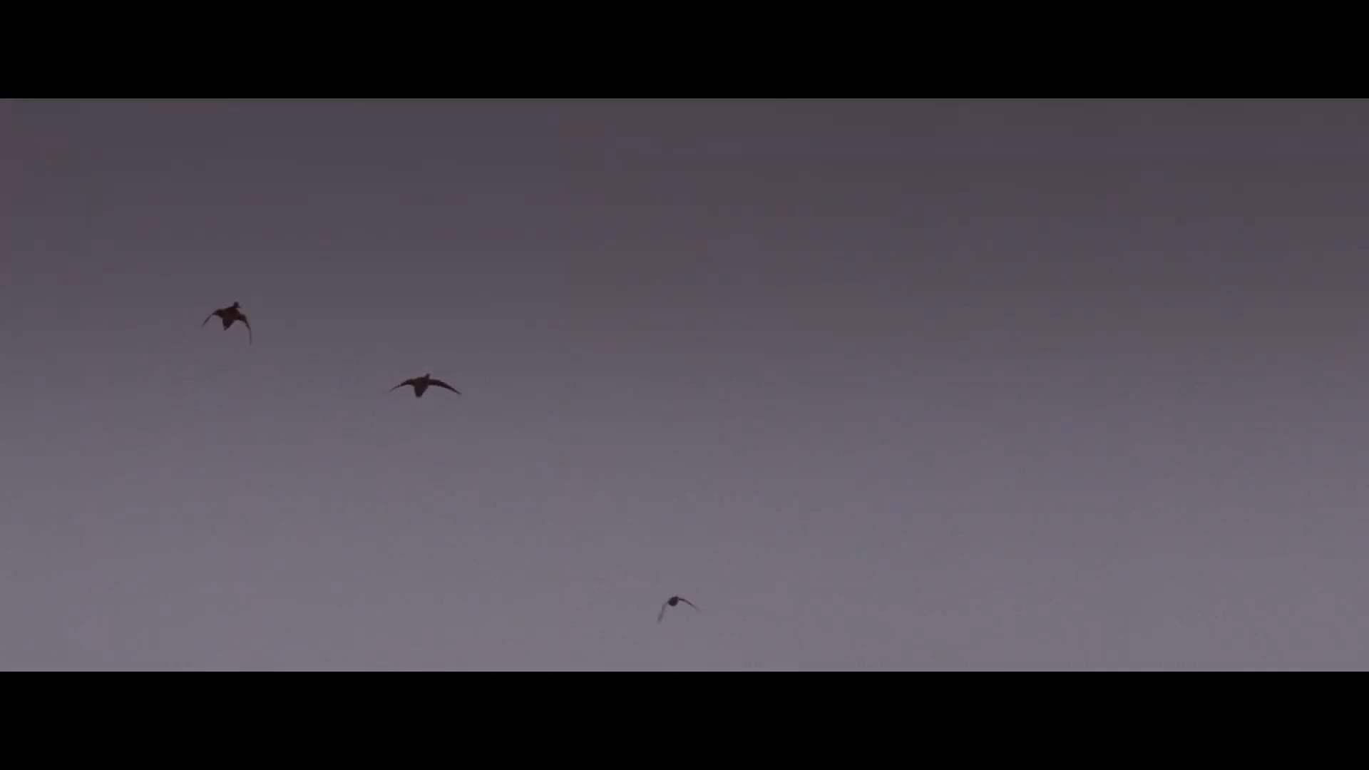 Falling Trailer (2020) Screen Capture #1