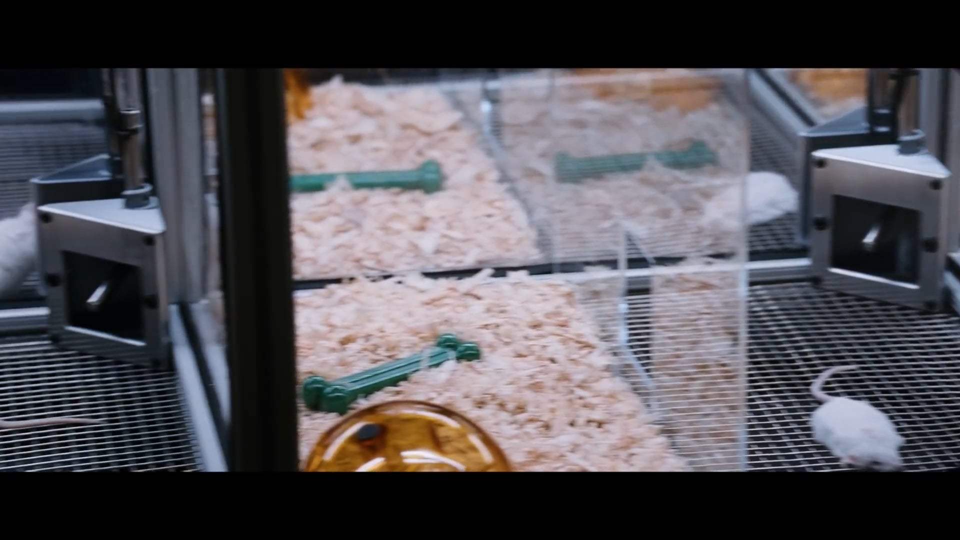 Crisis Trailer (2021) Screen Capture #2