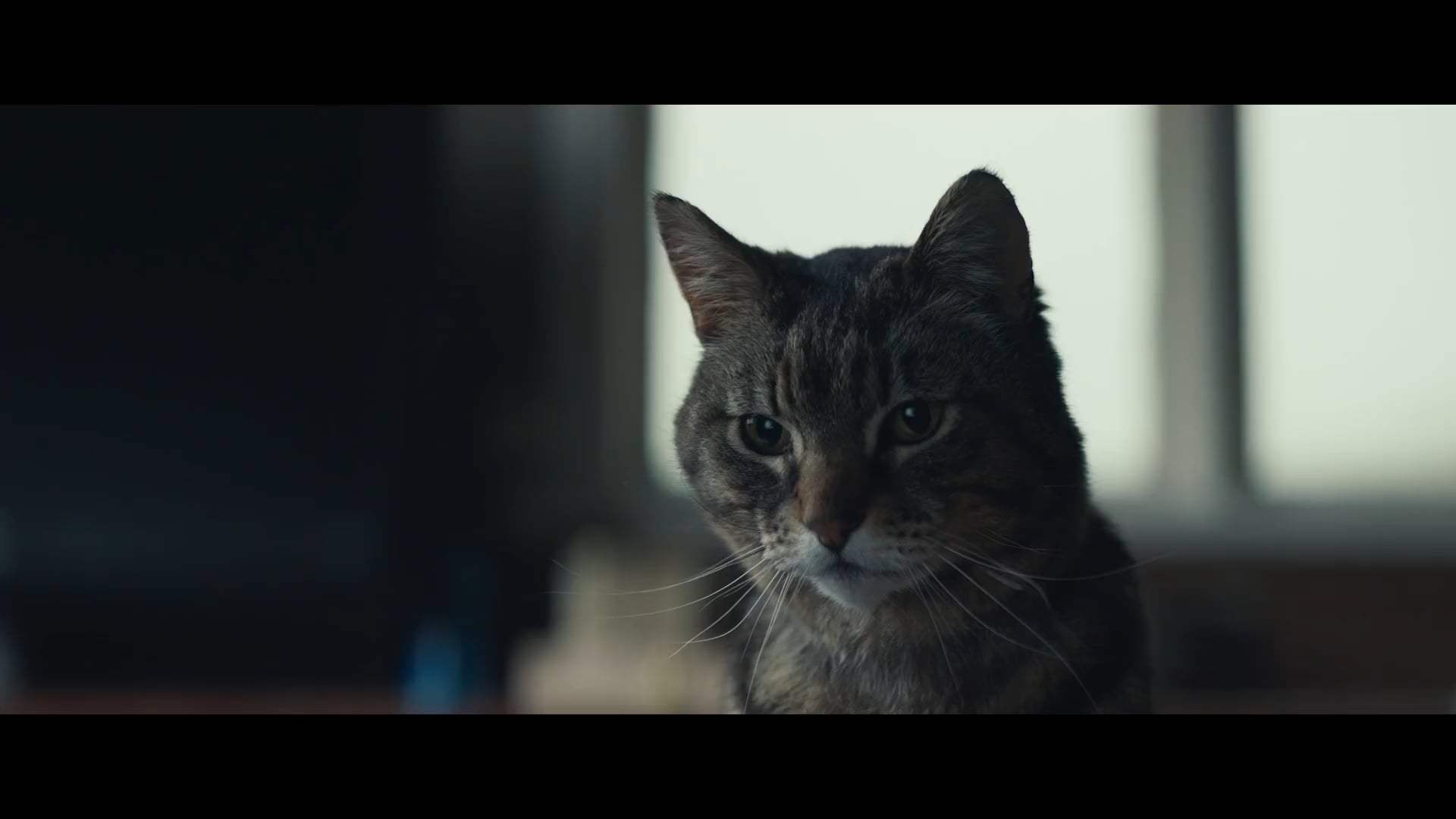 Lamb Trailer (2021) Screen Capture #2
