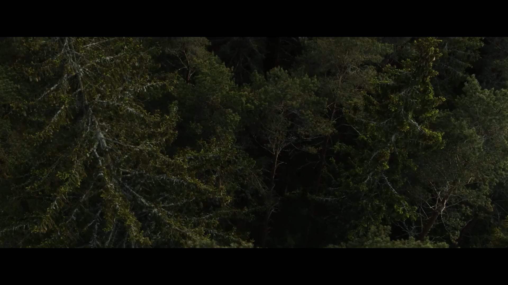 Burial Trailer (2022) Screen Capture #2