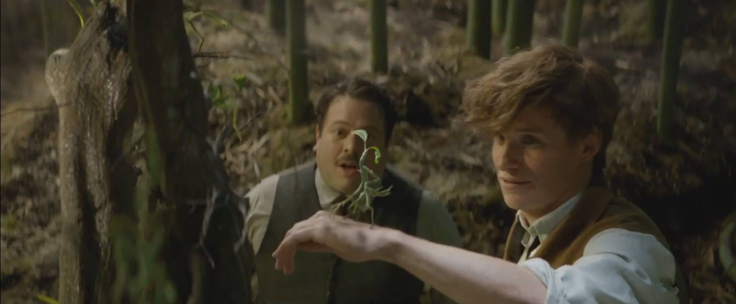 Fantastic Beasts and Where to Find Them - Feature Trailer Screen Shot 2