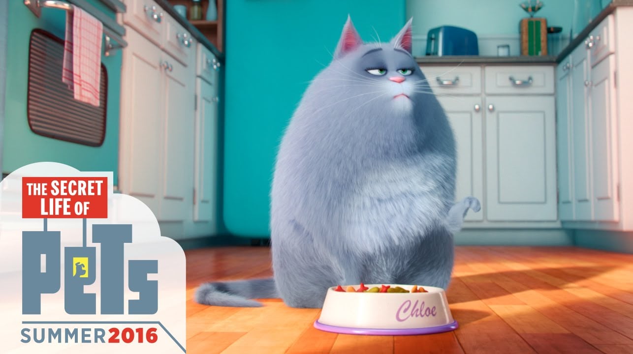 The Secret Life of Pets for ipod download