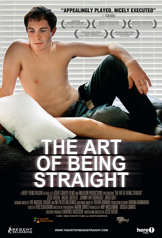 The Art of Being Straight Poster #1