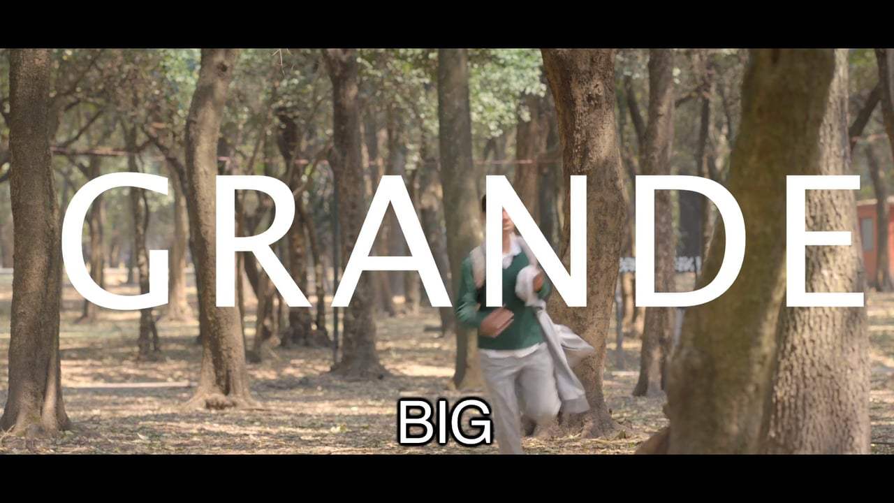 Big Trailer (2016)