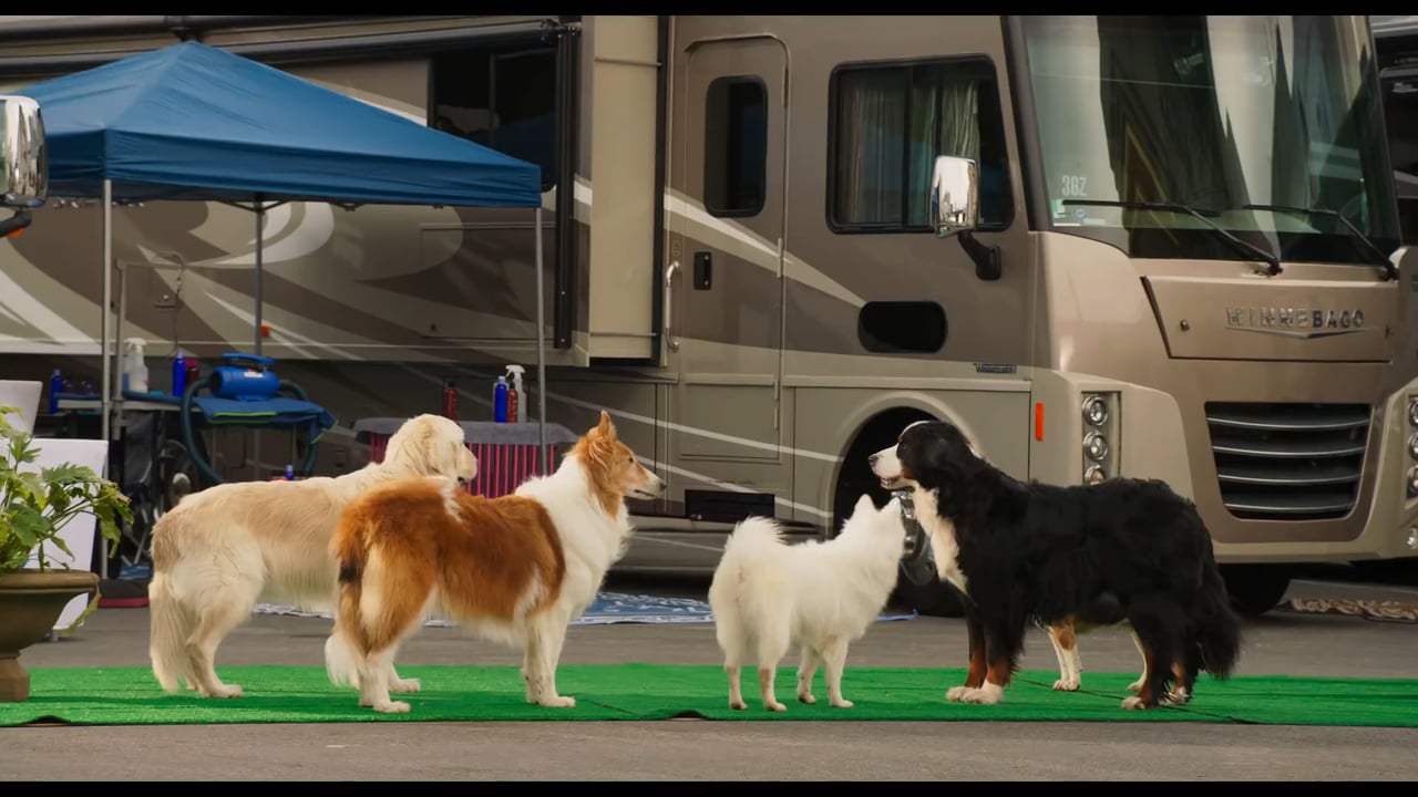 Show Dogs Trailer (2018)