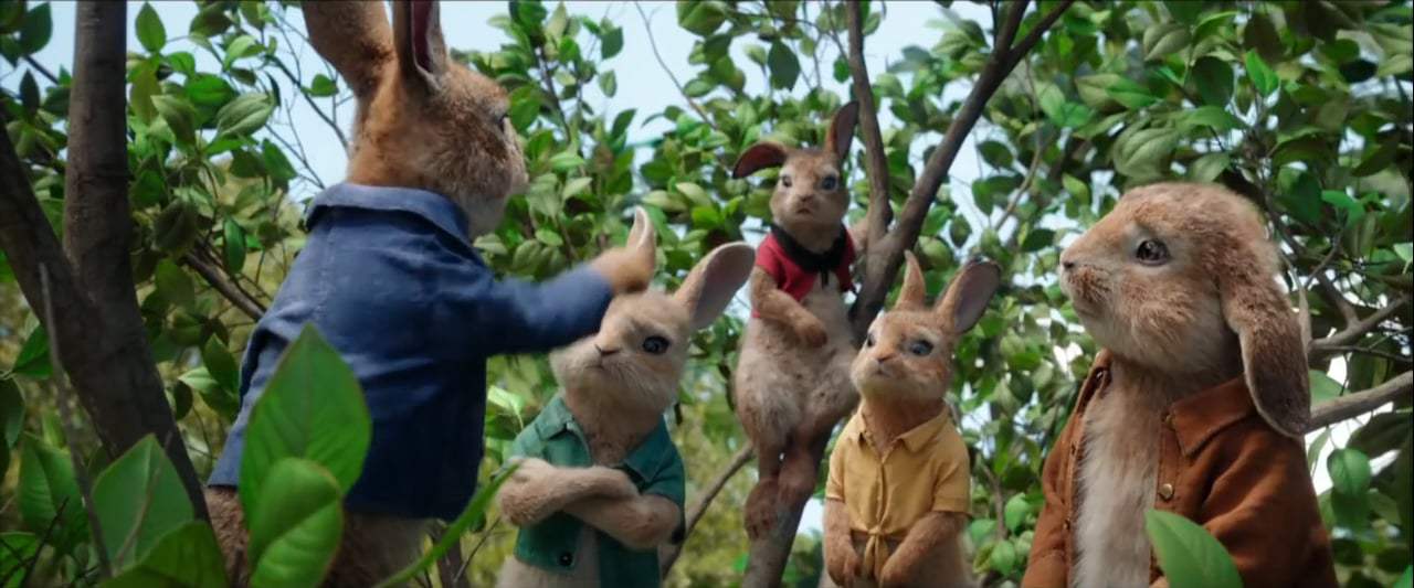 Peter Rabbit TV Spot - Hero (2018)