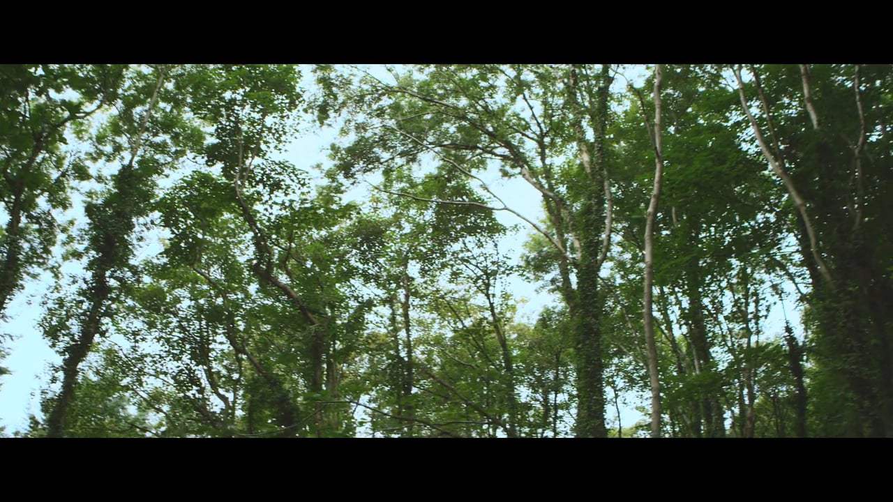 Cruel Summer Trailer (2018)