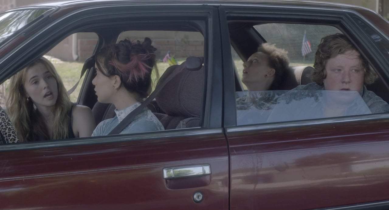 Flower (2018) - Stakeout