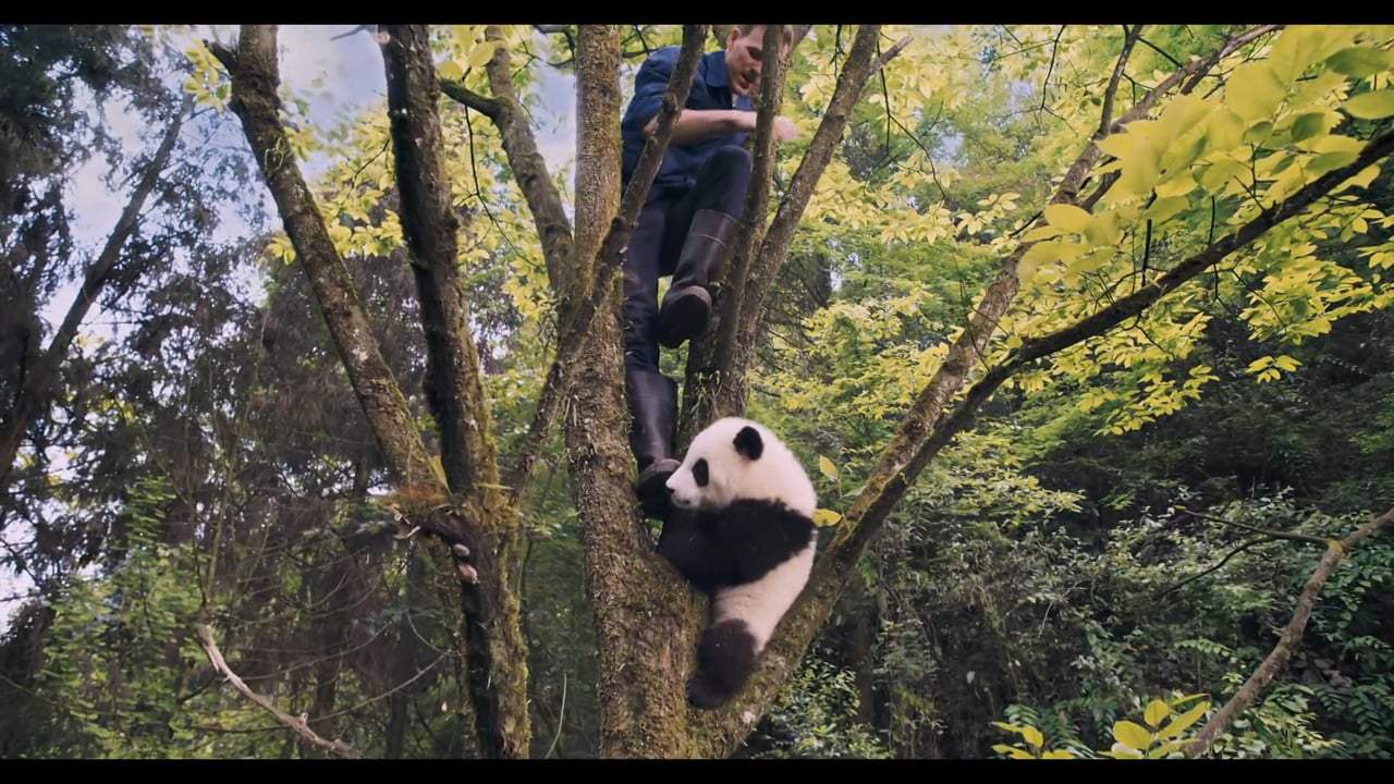 Pandas Featurette - Making Pandas (2018)