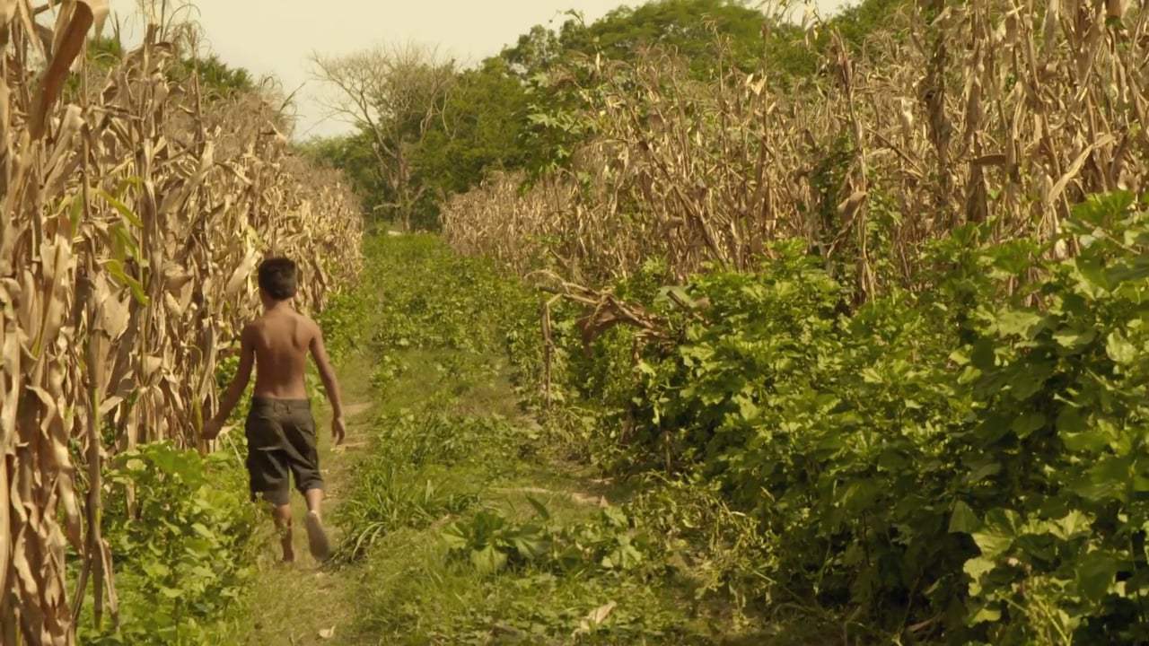 Artemio Trailer (2018)