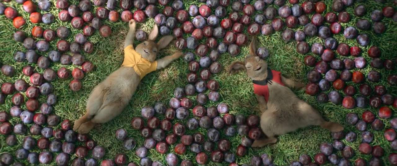 Peter Rabbit TV Spot - On Blu-Ray II (2018)