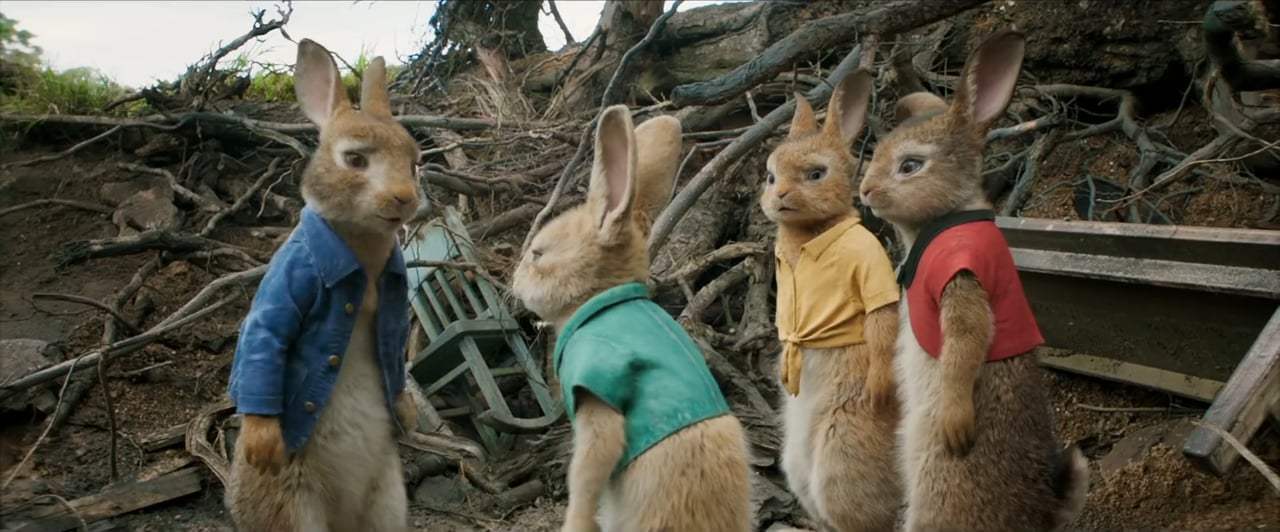 Peter Rabbit TV Spot - On Blu-Ray III (2018)