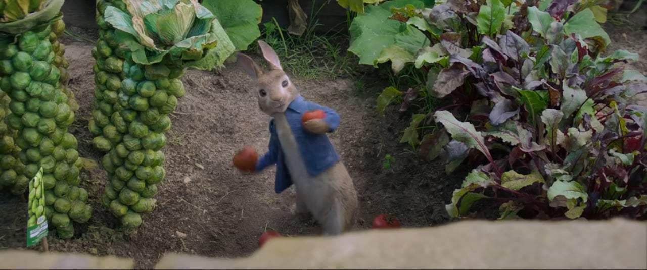 Peter Rabbit TV Spot - On Blu-Ray IV (2018)