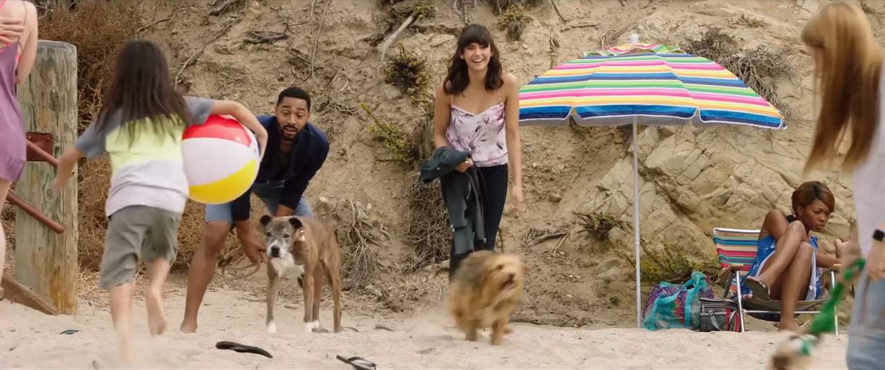 Dog Days Teaser Trailer (2018)