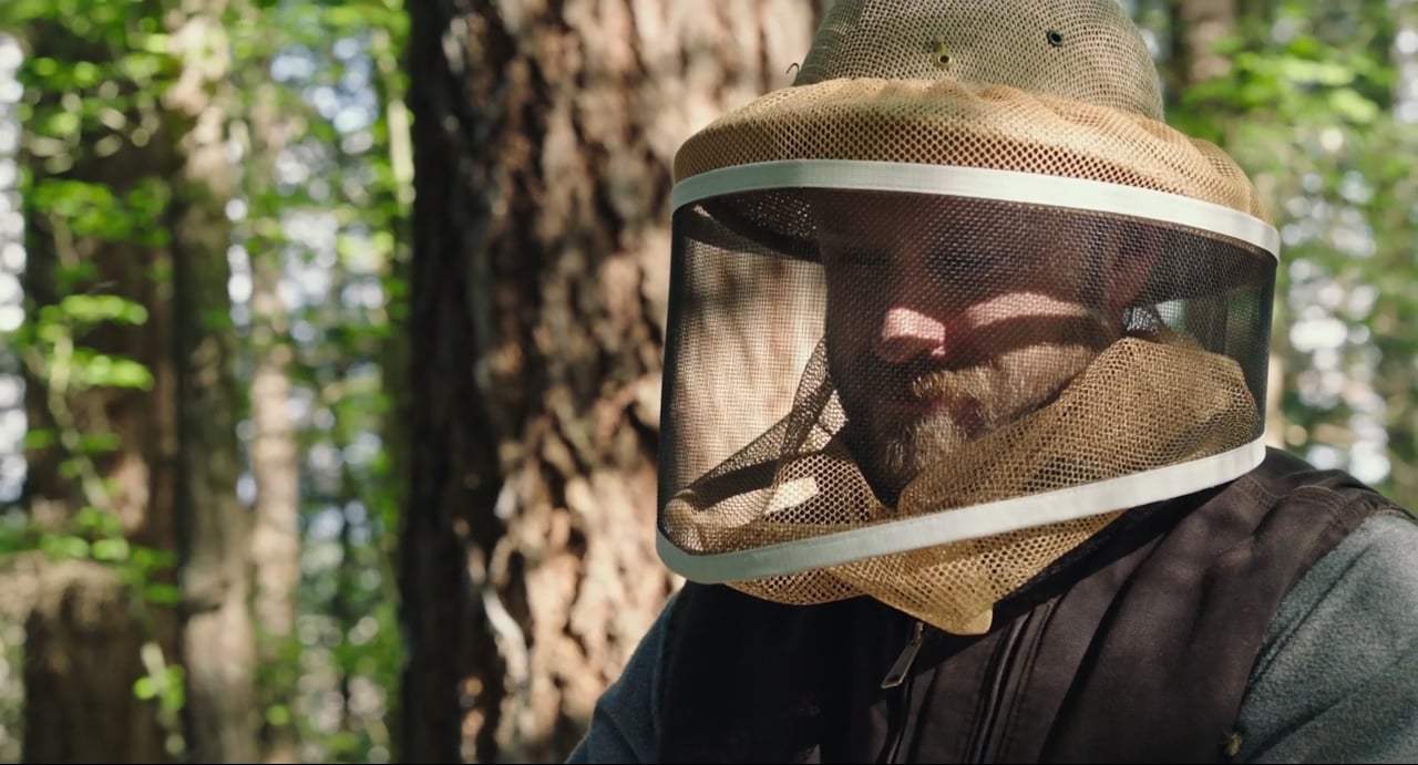 Leave No Trace (2018) - Warmth of the Hive