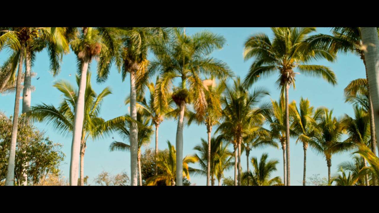 Cuernavaca Trailer (2018)