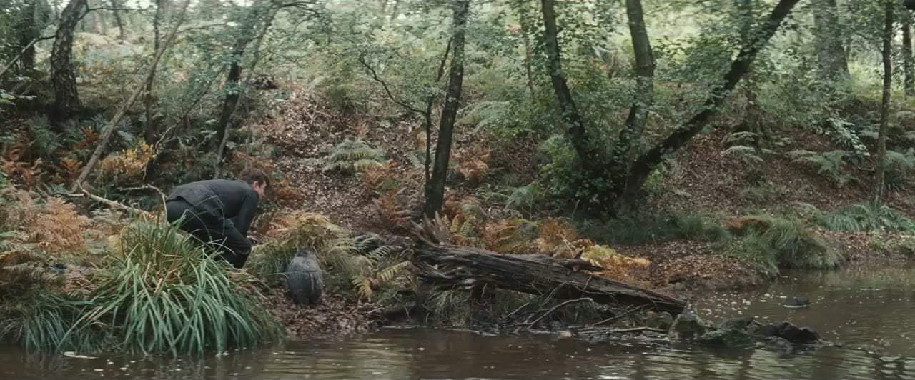 Christopher Robin (2018) - Eeyore Rescue