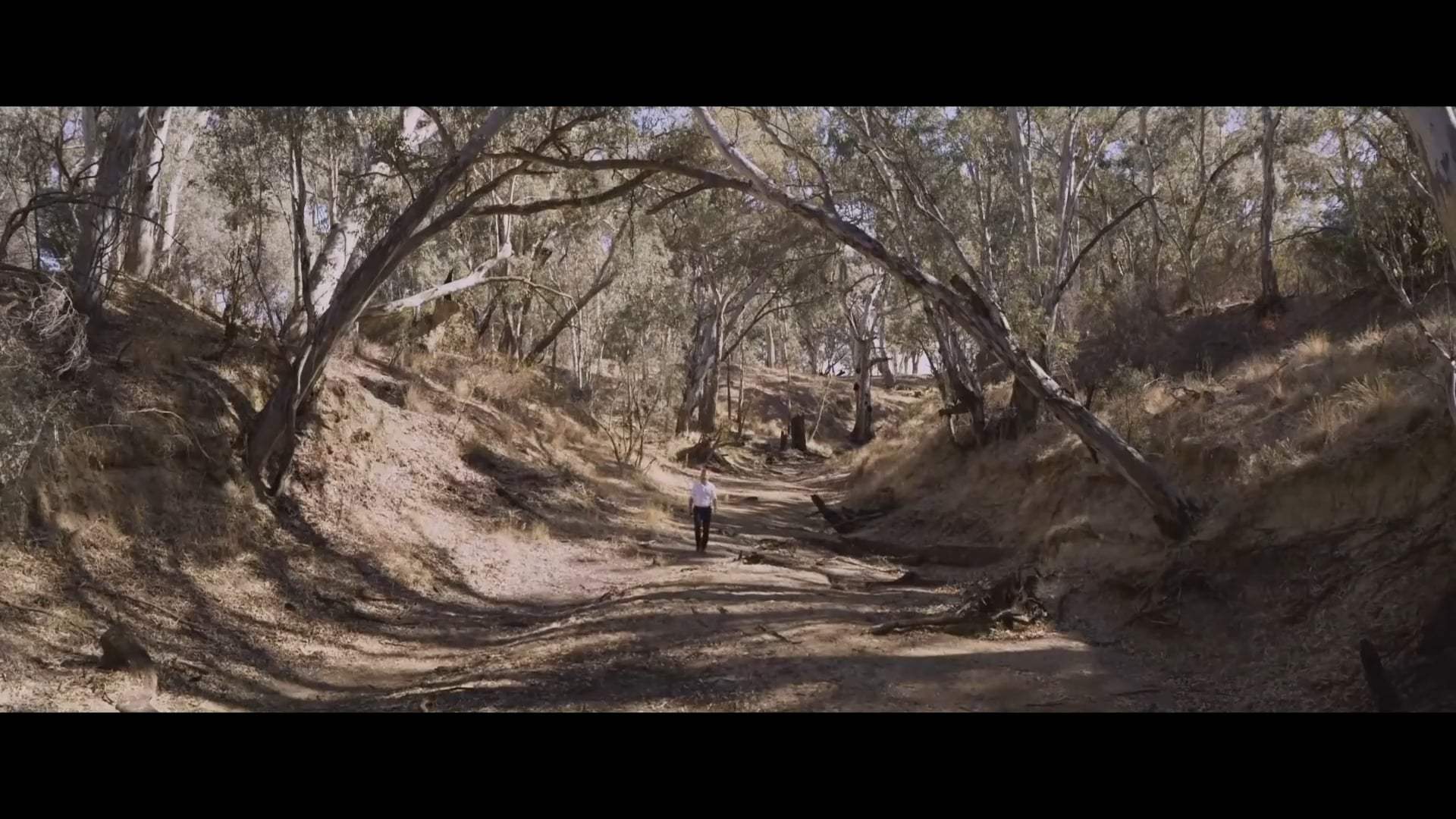 The Dry International Trailer (2020)