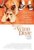 Because of Winn-Dixie (2005) Poster #1 Thumbnail