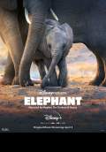 Elephant (2020) Poster #1 Thumbnail