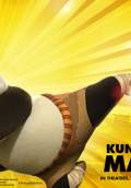 Kung Fu Panda 2 (2011) Poster #5 Thumbnail