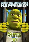 Shrek Forever After (2010) Poster #3 Thumbnail