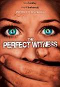 The Perfect Witness (The Ungodly) (2008) Poster #1 Thumbnail
