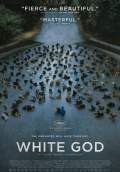 White God (2015) Poster #1 Thumbnail