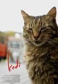 Kedi (2017) Poster #1 Thumbnail