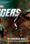 The Avengers (2012) Poster #30 Thumbnail