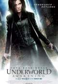 Underworld: Awakening (2012) Poster #1 Thumbnail