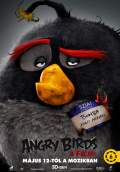 Angry Birds (2016) Poster #5 Thumbnail