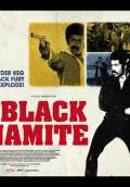 Black Dynamite (2009) Poster #1 Thumbnail