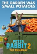Peter Rabbit 2: The Runaway (2020) Poster #1 Thumbnail
