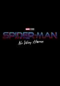Spider-Man: No Way Home (2021) Poster #1 Thumbnail