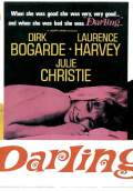 Darling (1965) Poster #1 Thumbnail