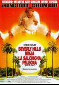 Beverly Hills Ninja (1997) Poster #1 Thumbnail