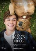 A Dog's Purpose (2017) Poster #12 Thumbnail