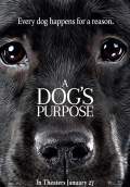A Dog's Purpose (2017) Poster #3 Thumbnail