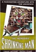 The Incredible Shrinking Man (1957) Poster #1 Thumbnail