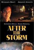 After the Storm (2001) Poster #1 Thumbnail