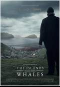 The Islands and the Whales (2017) Poster #1 Thumbnail