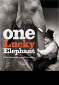 One Lucky Elephant (2011) Poster #1 Thumbnail