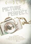 Picture. Perfect. (2013) Poster #1 Thumbnail