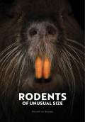 Rodents of Unusual Size (2017) Poster #1 Thumbnail