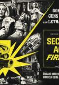 Secret Agent Fireball (Le spie uccidono a Beirut) (1965) Poster #1 Thumbnail