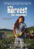 The Harvest (La Cosecha) (2011) Poster #1 Thumbnail