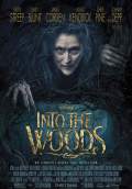 Into the Woods (2014) Poster #2 Thumbnail