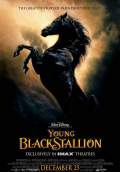 Young Black Stallion (2003) Poster #1 Thumbnail