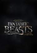 Fantastic Beasts and Where to Find Them (2016) Poster #1 Thumbnail